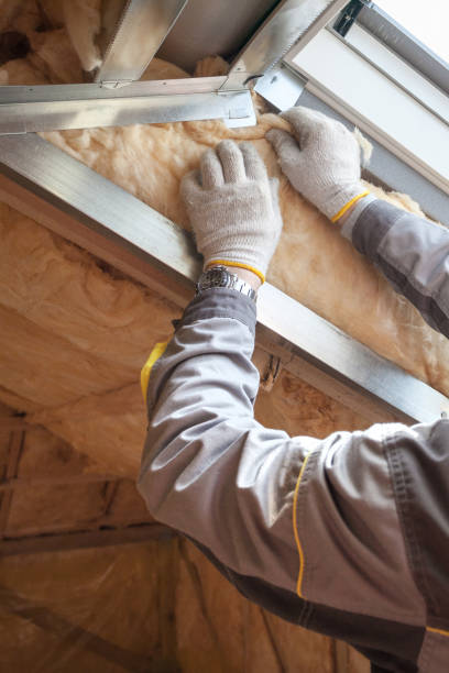 Best Insulation Maintenance and Repair in South Wallins, KY