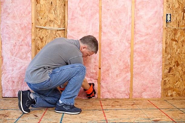 Best Commercial Insulation in South Wallins, KY